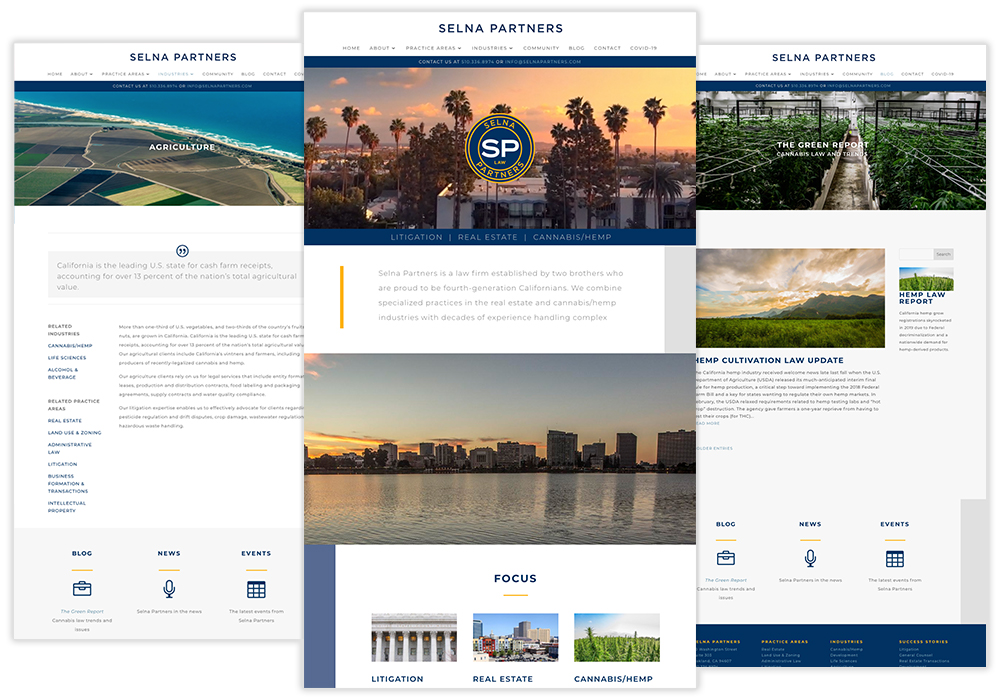 Selna Partners Law Responsive Website Redesign Page Layouts