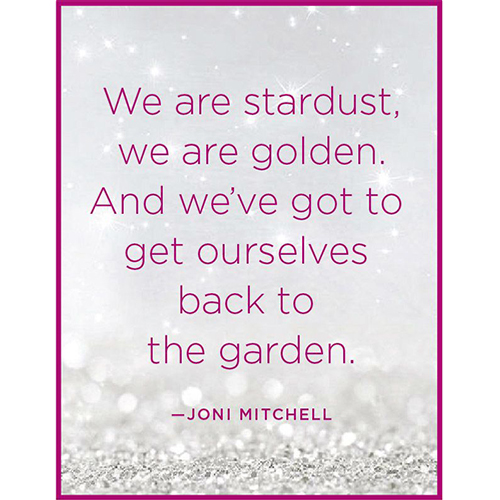 Joni Mitchell We Are Stardust Lyric Social Media Post Pinterest